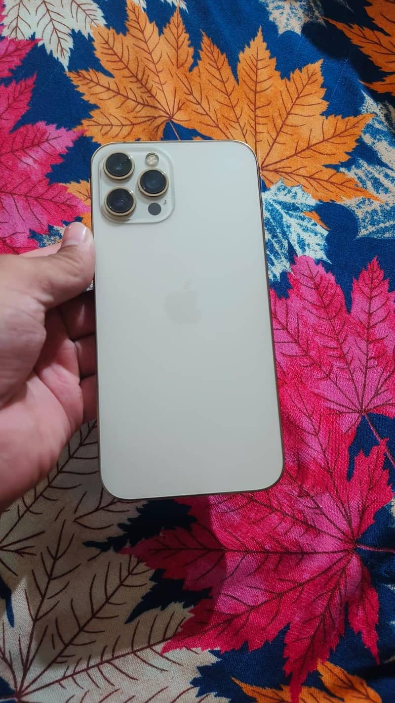 Apple iPhone 12 Pro Max 1