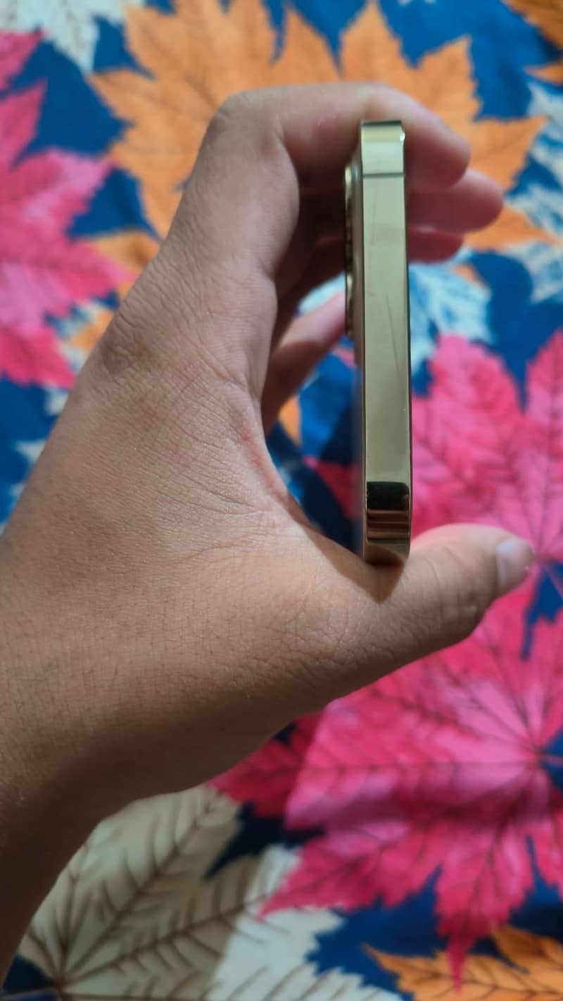 Apple iPhone 12 Pro Max 2
