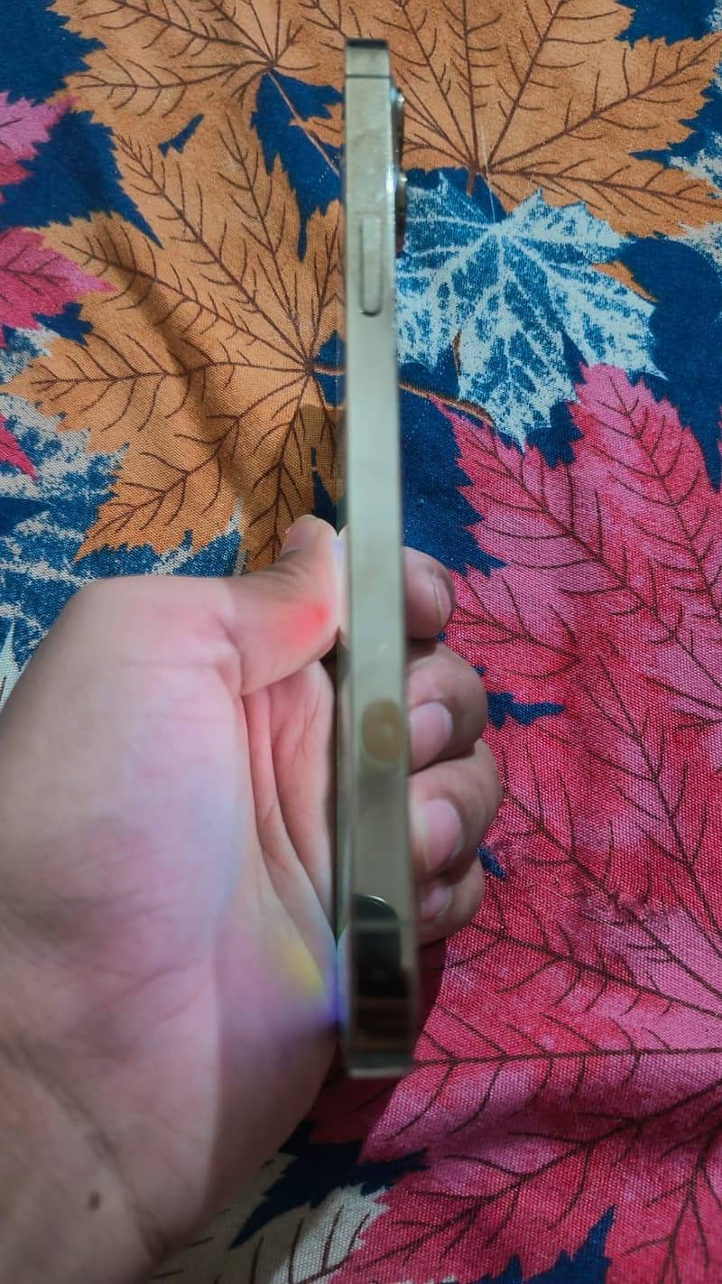 Apple iPhone 12 Pro Max 3