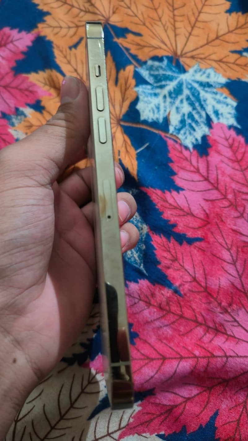 Apple iPhone 12 Pro Max 4