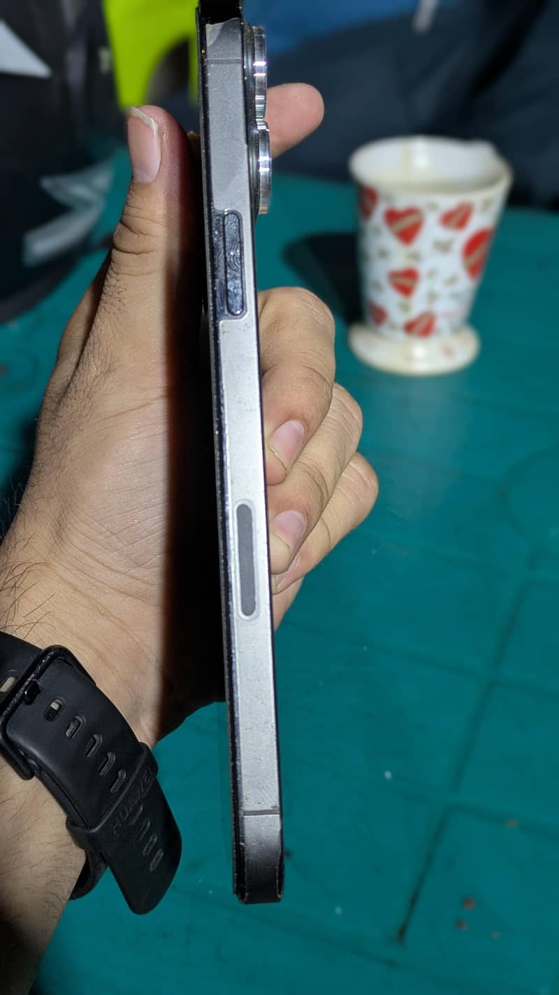 Apple iPhone 13 Pro Max 0