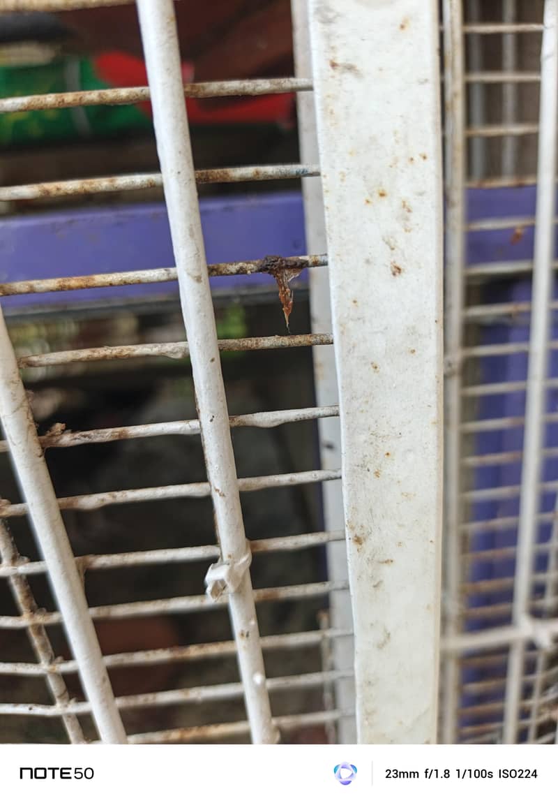 لوہے کا پنجرہ 2