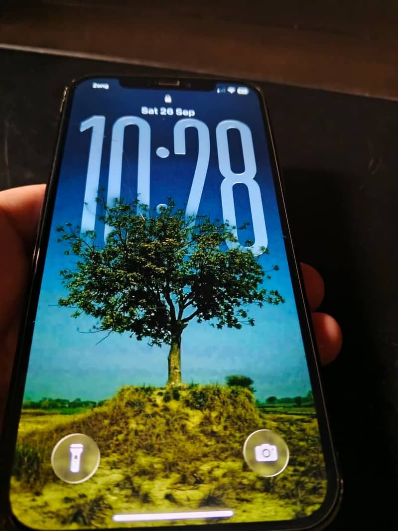 Iphone 12 pro pta approved 2