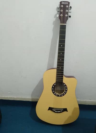 acoustic guitar