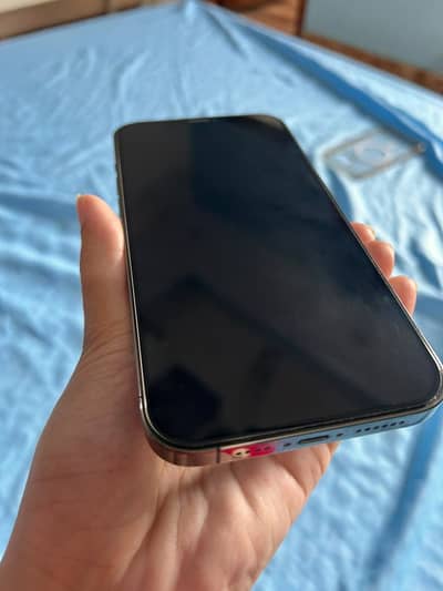 Apple iPhone 12 Pro Max