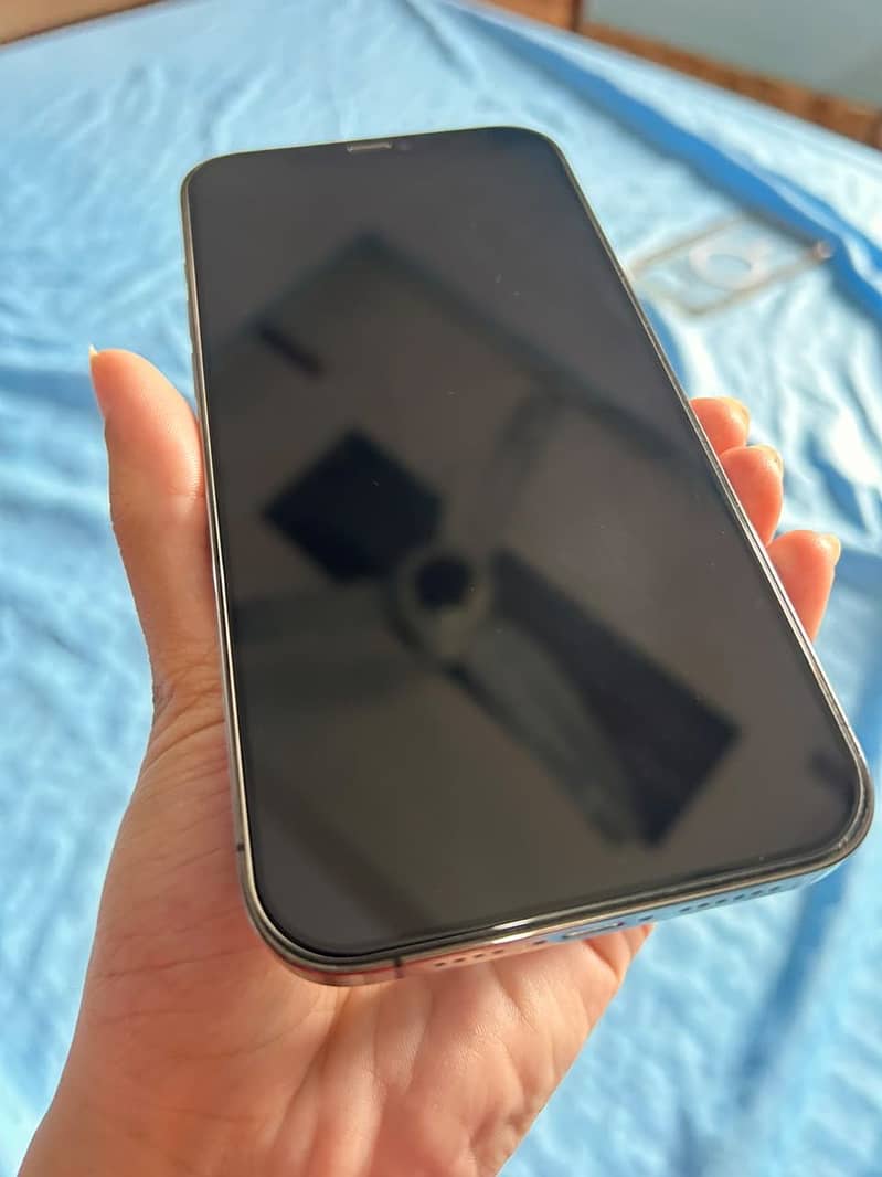 Apple iPhone 12 Pro Max 1