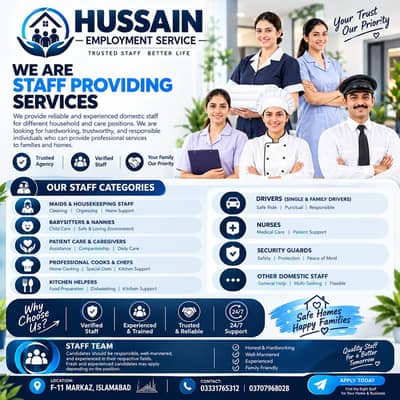 professional domestic services