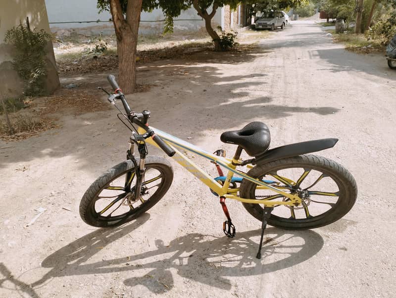 Roed cycle 1