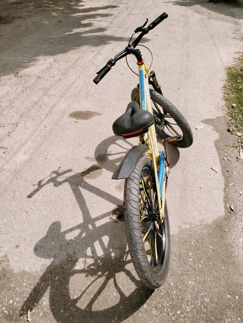 Roed cycle 2