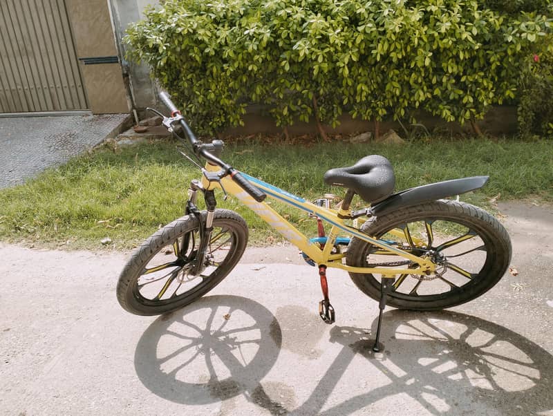 Roed cycle 3