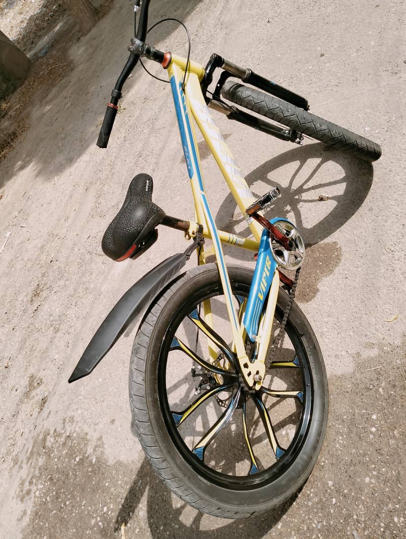 Roed cycle 4
