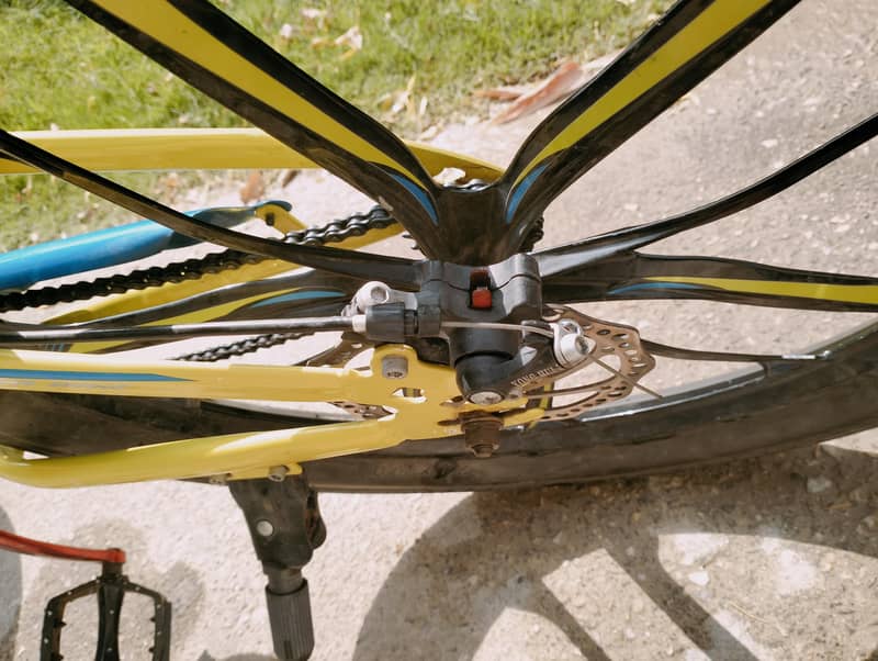 Roed cycle 5