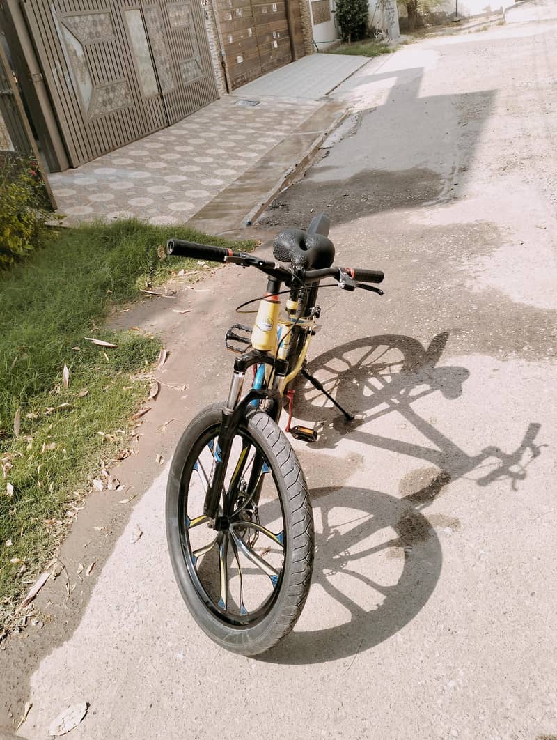 Roed cycle 7
