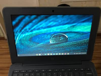 HP CHROME BOOK