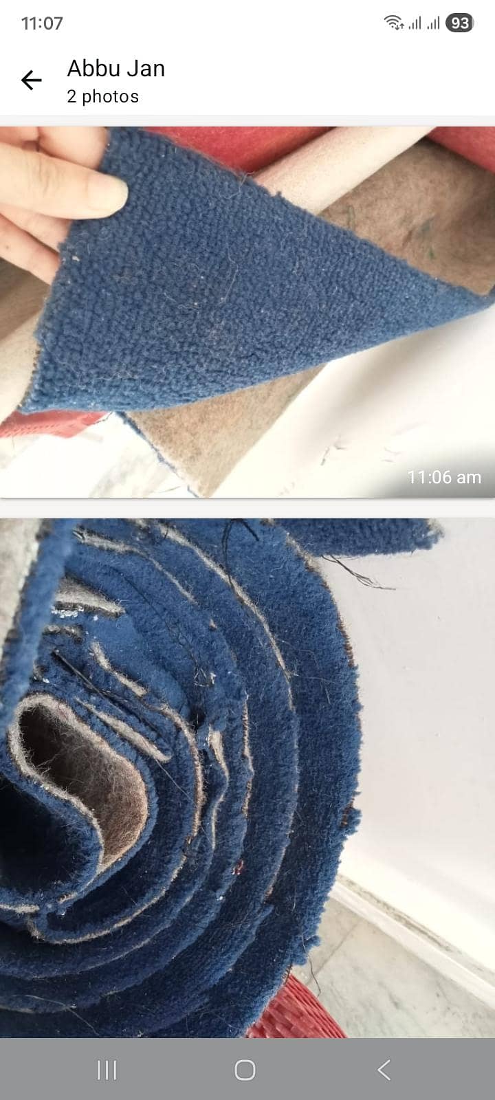 3 carpets . . . . 3
