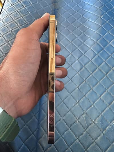 Apple iPhone 12 Pro Max PTA Approved