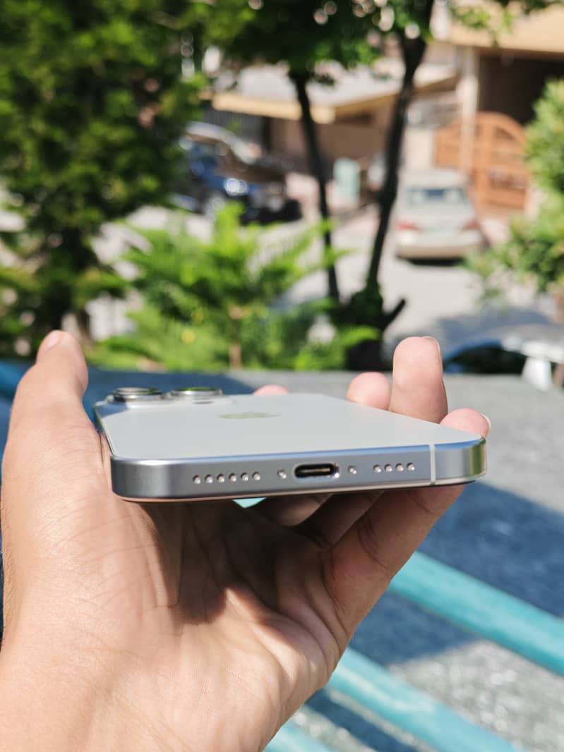 Apple iPhone 16 Pro Max 1