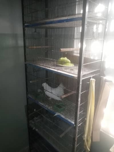 5 floor giant cage