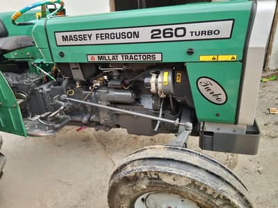 MF240 2024/2025