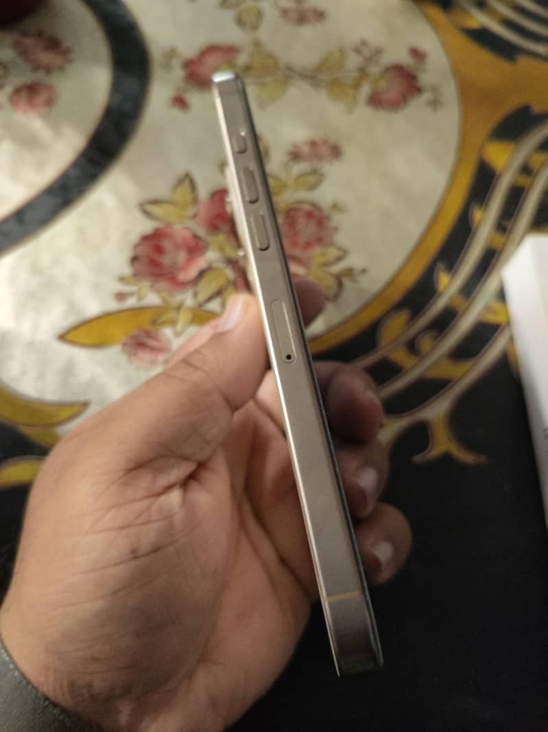 Apple iPhone 16 Pro Max 2