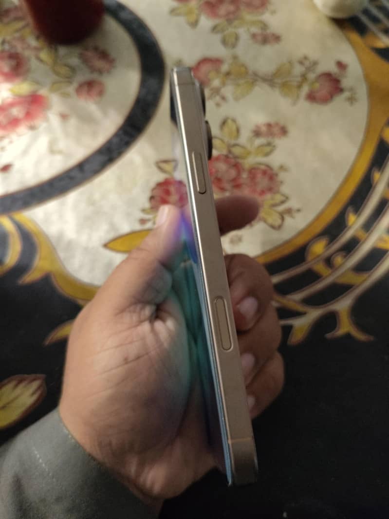 Apple iPhone 16 Pro Max 3