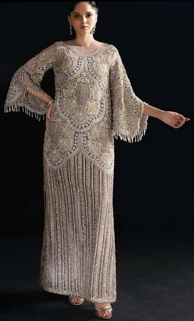 Elegant Silver Grey Heavy Embroidered Party Wear Dress and more dress
