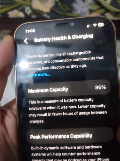 Apple iPhone 12 Pro Max