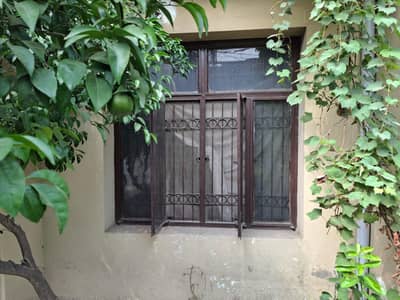 Window (iron windows with safety grills, mesh & glass)