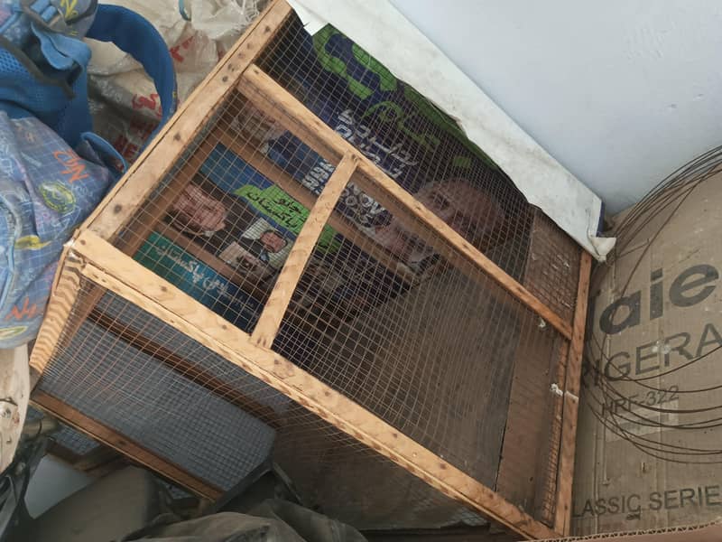 Big cage 1
