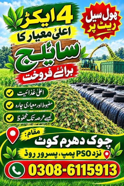 4 Acre High Quality Silage For Sale | Wholesale Rate