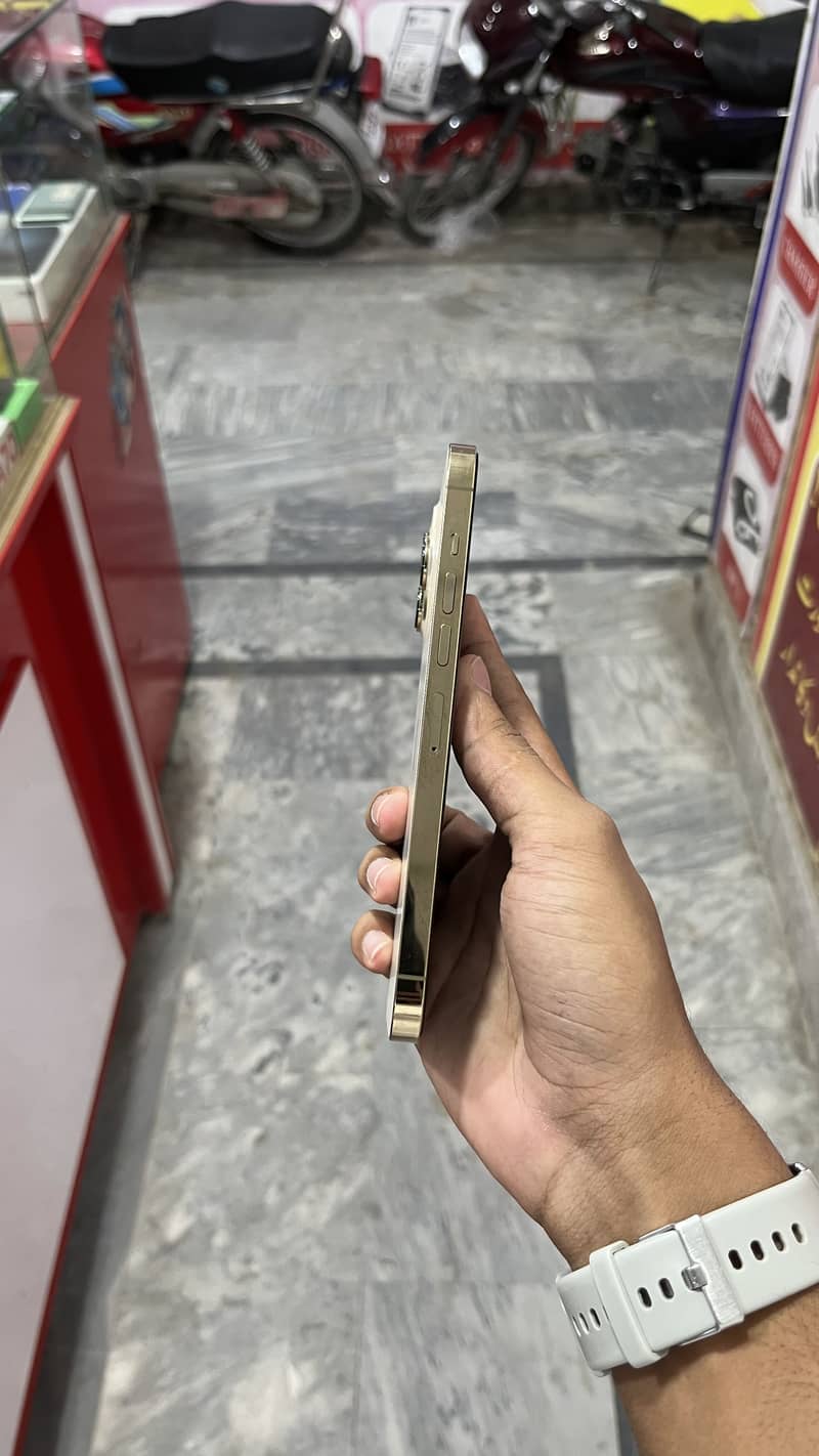 Apple iPhone 13 Pro Max 1