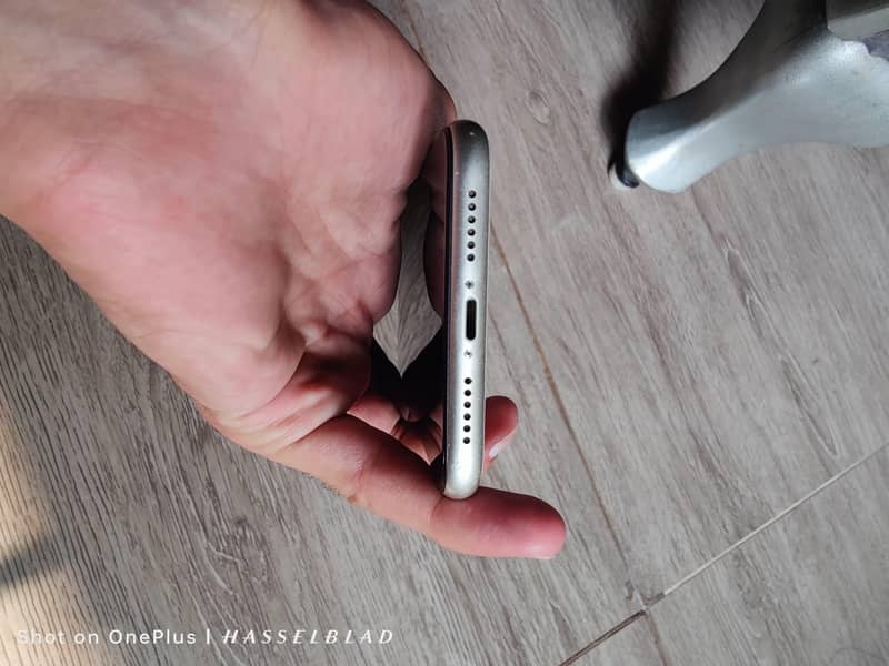 Apple iPhone 11 3