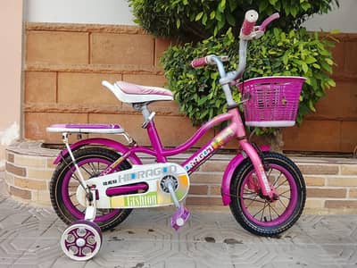 HIDRAGON imported Cycle - 12 size - 0320/2257/271