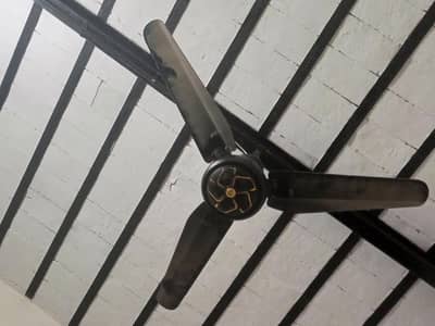 Power Man (Ac/Dc) Fan