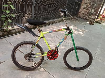 phoenix cycle