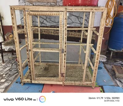 Birds cage