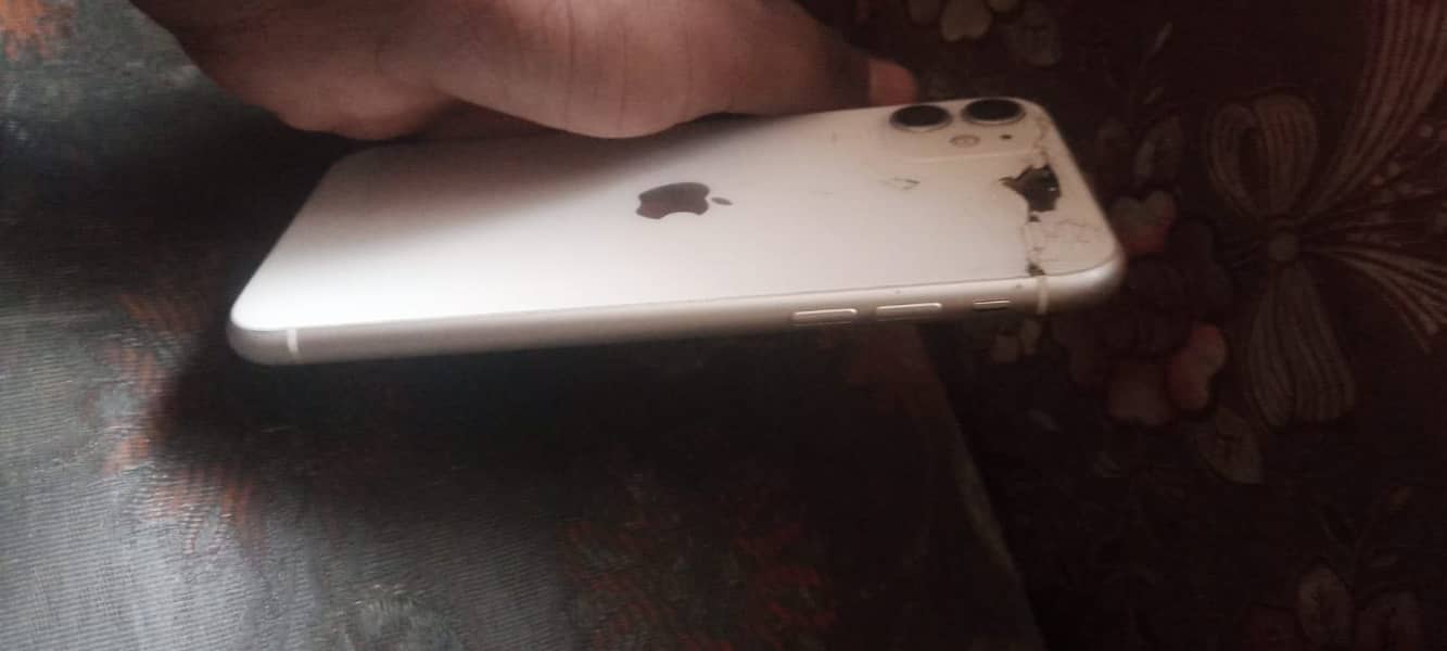 Apple iPhone 11 0