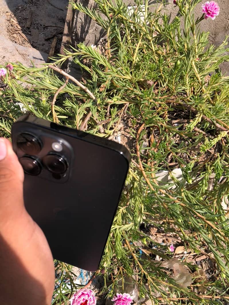 Apple iPhone 14 Pro Max 4