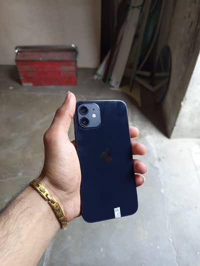Apple iPhone 12