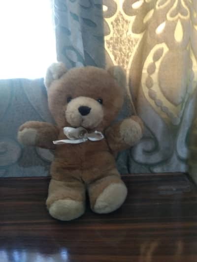 2 high quality teddy bear for kids