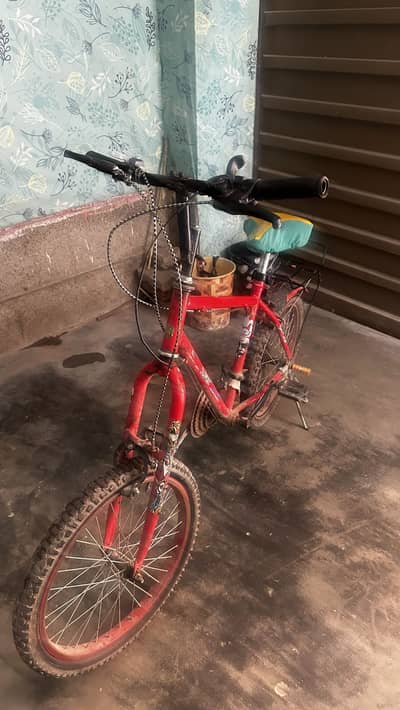 Clean bicycle for kids daily use
