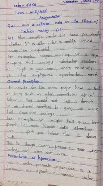 Professional Assignment & Thesis Writing Services 2