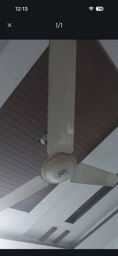 Fan for sale