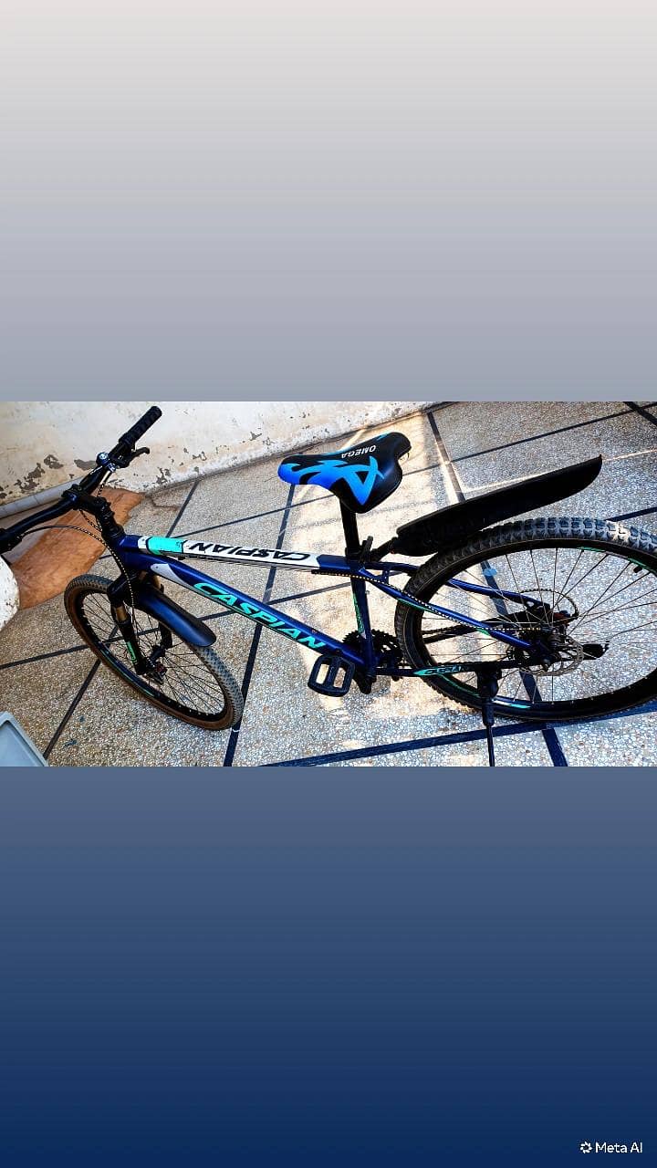 bicycle 0