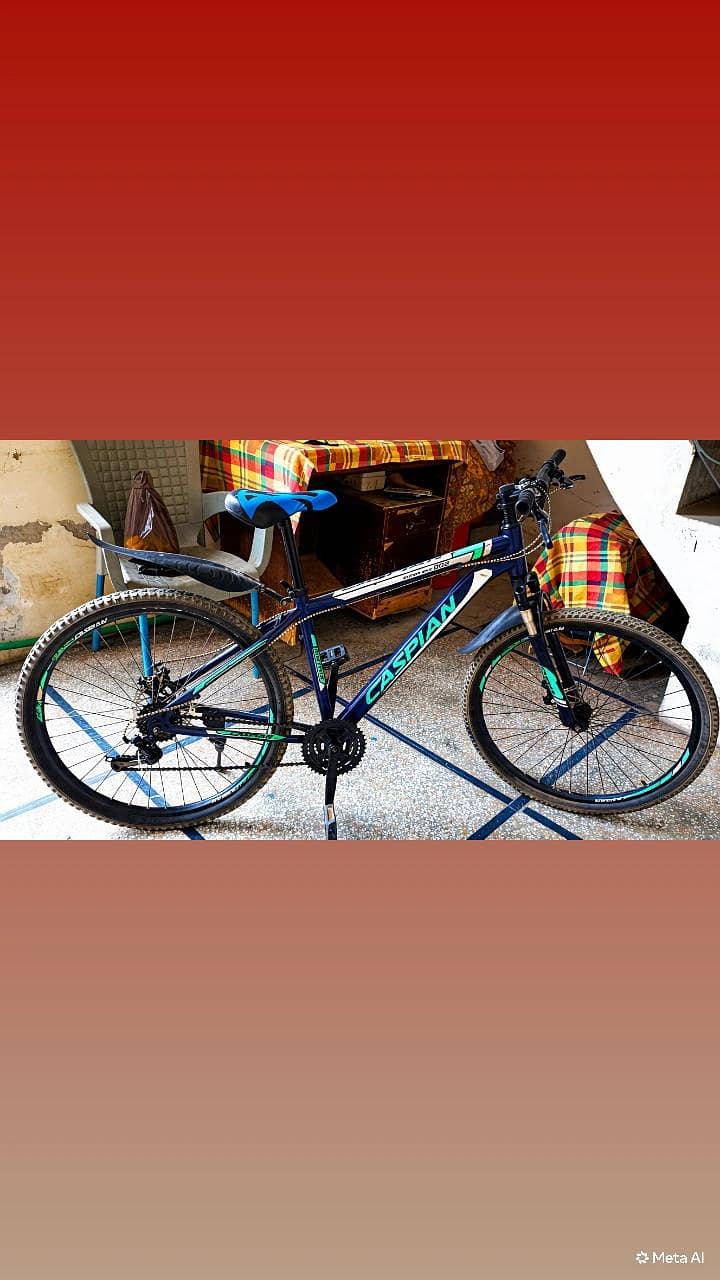 bicycle 1
