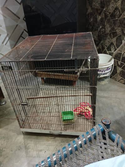 parrot cage