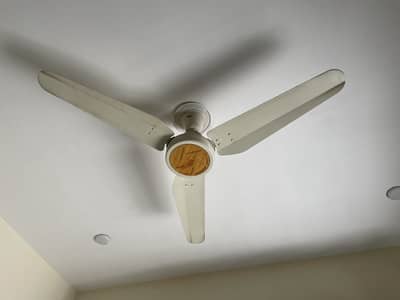 Royal Fan AC DC