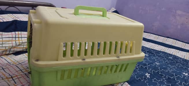 cat box