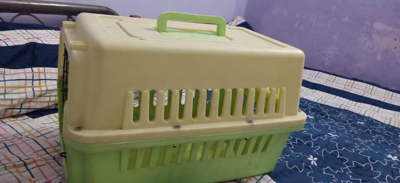 cat box 0