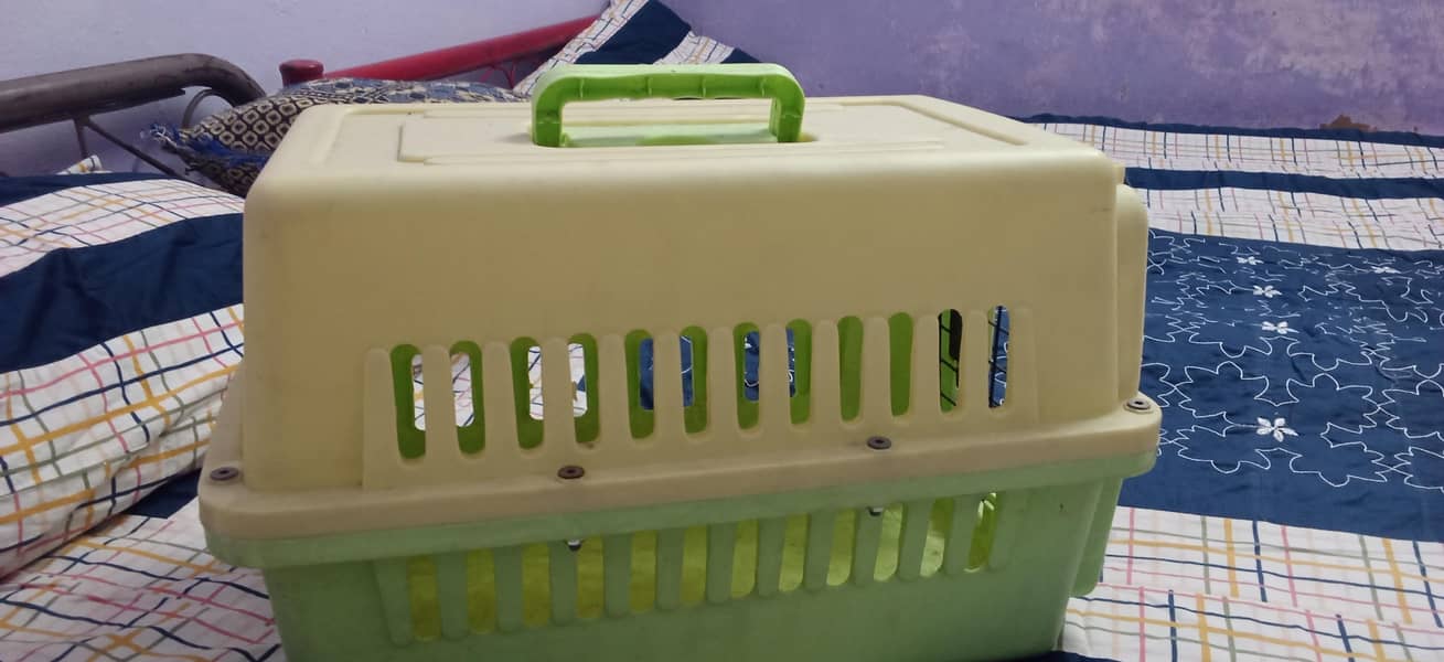 cat box 1